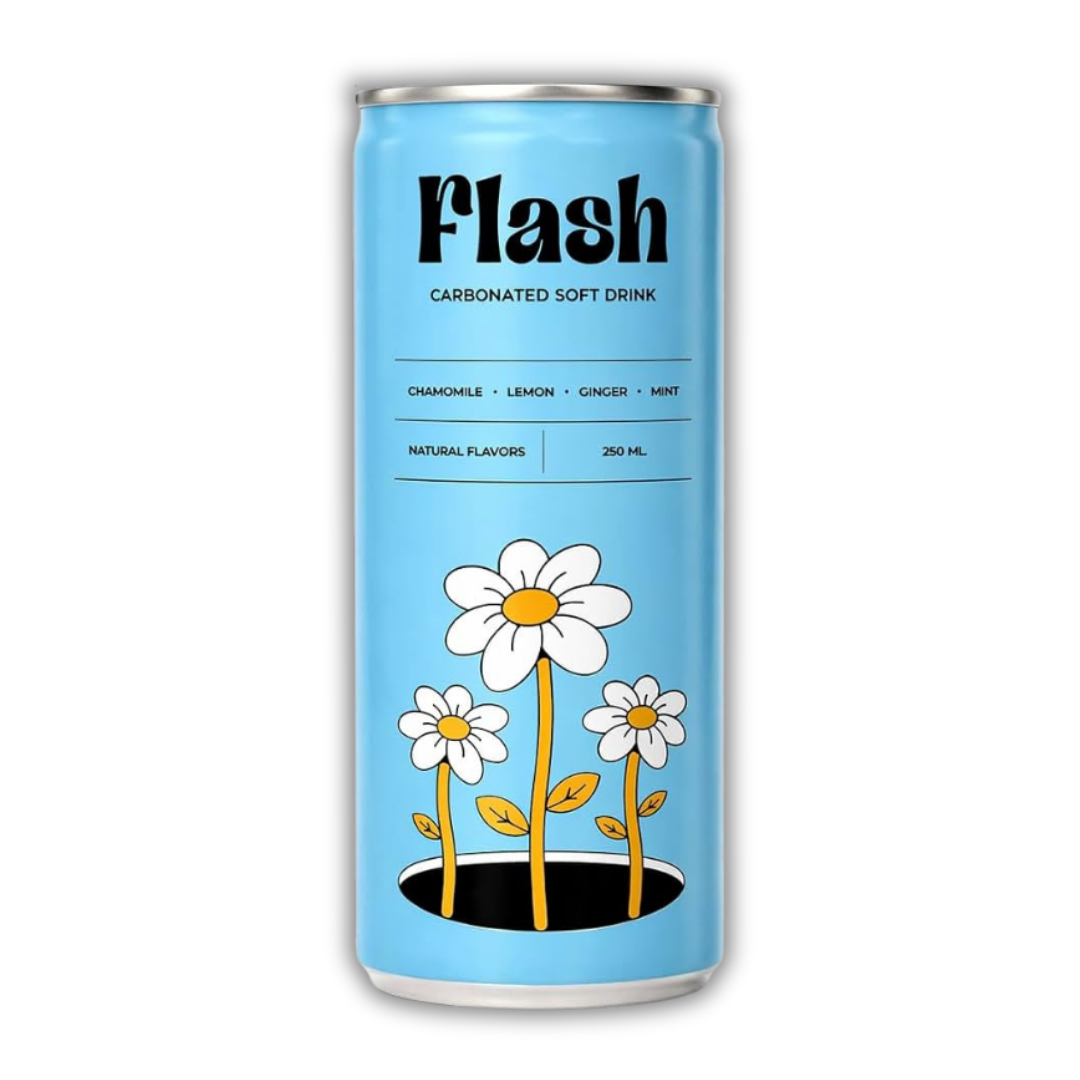 Flash Ginger Carbonated Soft Drink – 24 Pack