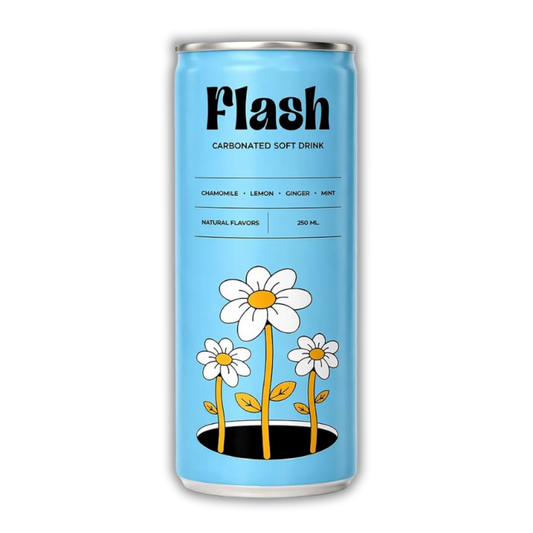Flash Ginger Carbonated Soft Drink – 24 Pack